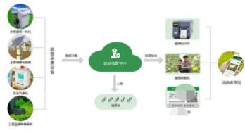 農(nóng)產(chǎn)品全產(chǎn)業(yè)鏈溯源系統(tǒng)軟件開發(fā)解決方案 技術(shù)服務(wù)驅(qū)動品質(zhì)信任